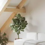 Un salon mansardé lumineux avec une fenêtre de toit, un fauteuil, des plantes et un canapé blanc. Idéal pour apprendre comment poser une fenêtre de toit.