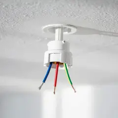 Douille de plafond avec fils dénudés : bleu (neutre), rouge (phase) et vert/jaune (terre). Utile pour reconnaitre phase et neutre sur une douille.