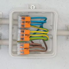 Boîte de jonction avec fils électriques connectés par des Wago 221. Apprenez comment utiliser un wago pour des connexions sûres et rapides.