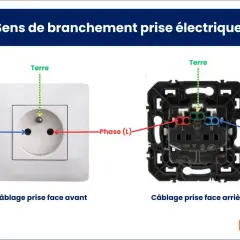 Schéma de câblage d'une prise électrique : face avant et arrière. Le fil neutre (N) est à gauche, la phase (L) à droite, et la terre en haut.