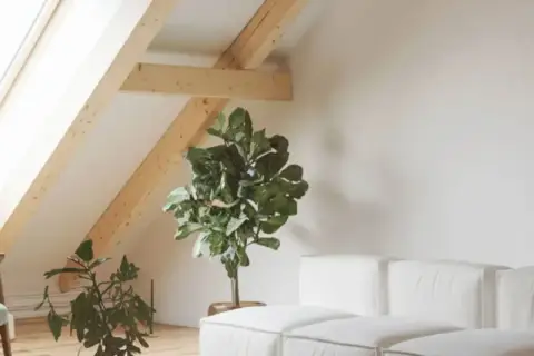 Un salon mansardé lumineux avec une fenêtre de toit, un fauteuil, des plantes et un canapé blanc. Idéal pour apprendre comment poser une fenêtre de toit.