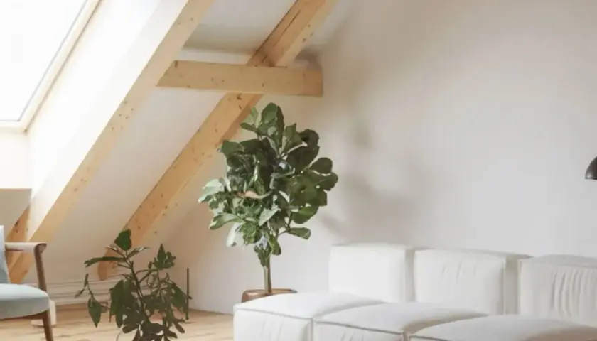 Un salon mansardé lumineux avec une fenêtre de toit, un fauteuil, des plantes et un canapé blanc. Idéal pour apprendre comment poser une fenêtre de toit.
