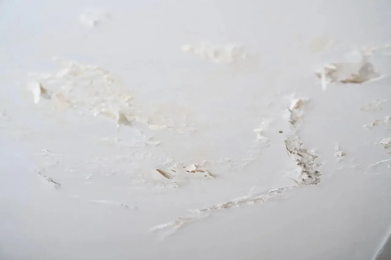 Détails d'un mur intérieur abîmé, avec des traces de salpêtre et de peinture écaillée. Une situation qui demande comment éliminer le salpêtre sur un mur intérieur.