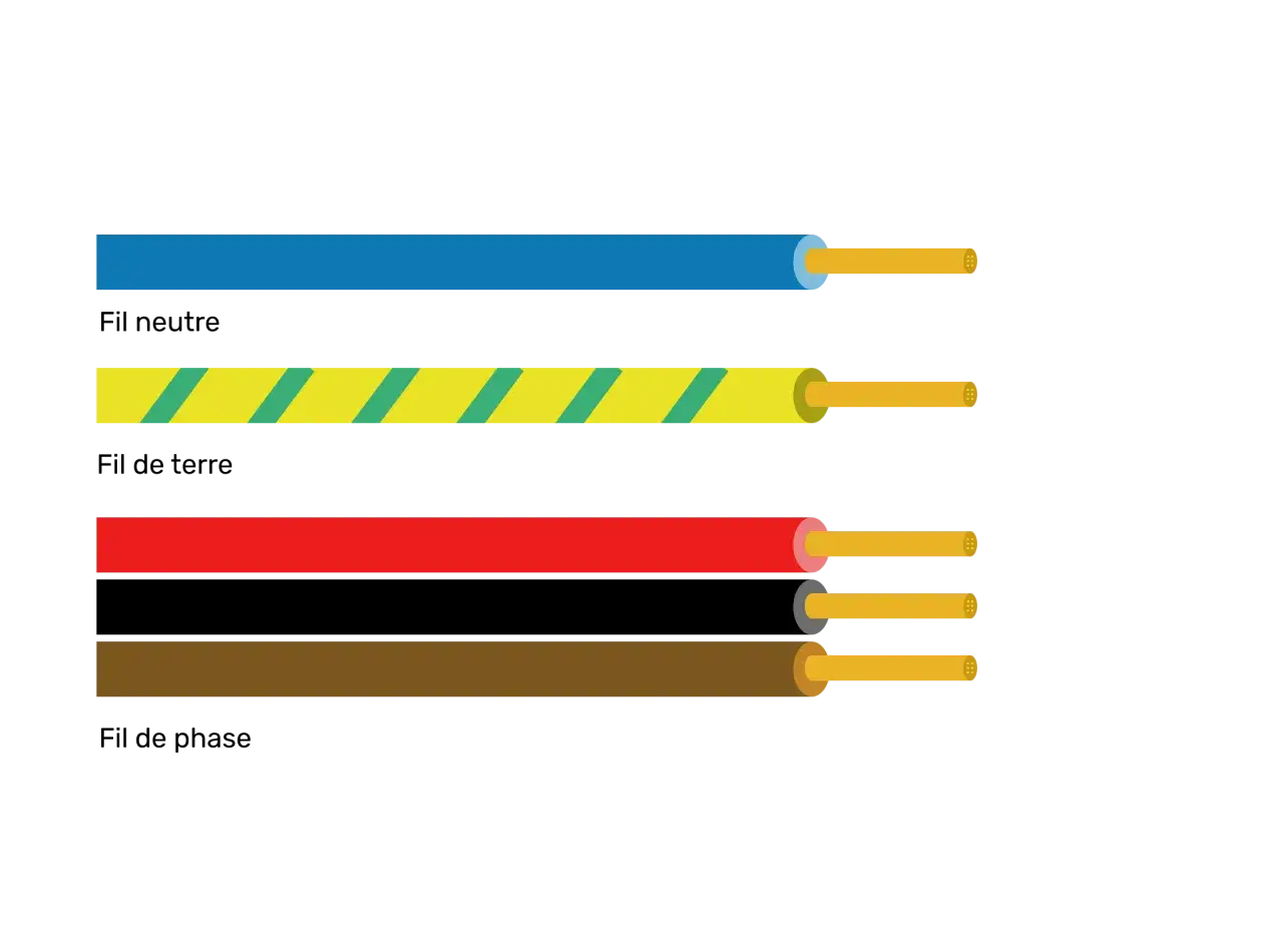 Code couleur c&acirc;ble &eacute;lectrique section : bleu, jaune ray&eacute; vert, rouge, marron. Chaque c&acirc;ble montre ses fils conducteurs.