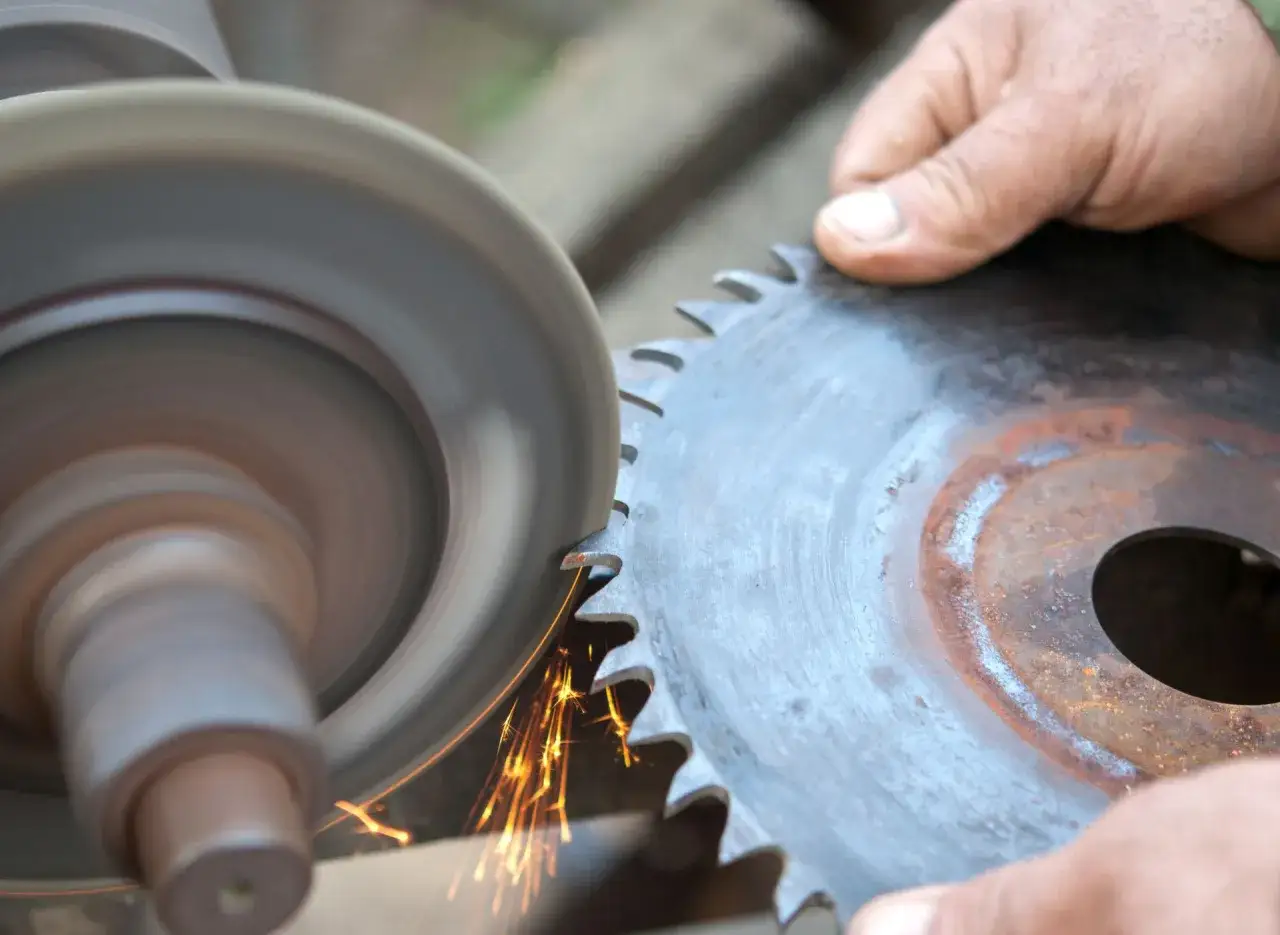 Affûtage d'une lame de scie circulaire : des étincelles jaillissent lors de la restauration des dents sur la meule.