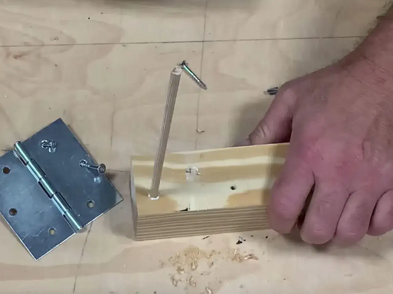 Un bricoleur teste un montage : une vis qui tourne dans le vide, tenue par un bout de bois, &agrave; c&ocirc;t&eacute; d'une charni&egrave;re.