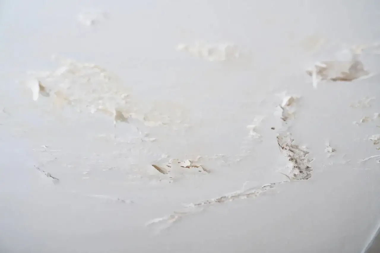 Détérioration d'un mur intérieur, peinture écaillée et traces de salpêtre. Comment éliminer le salpêtre sur un mur intérieur ?